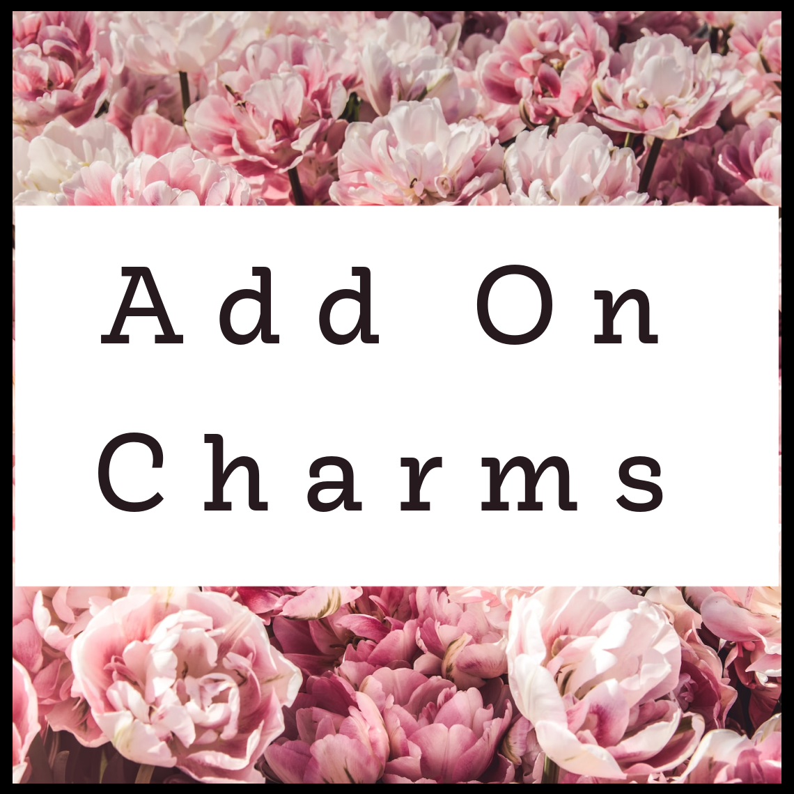 Add On Charms