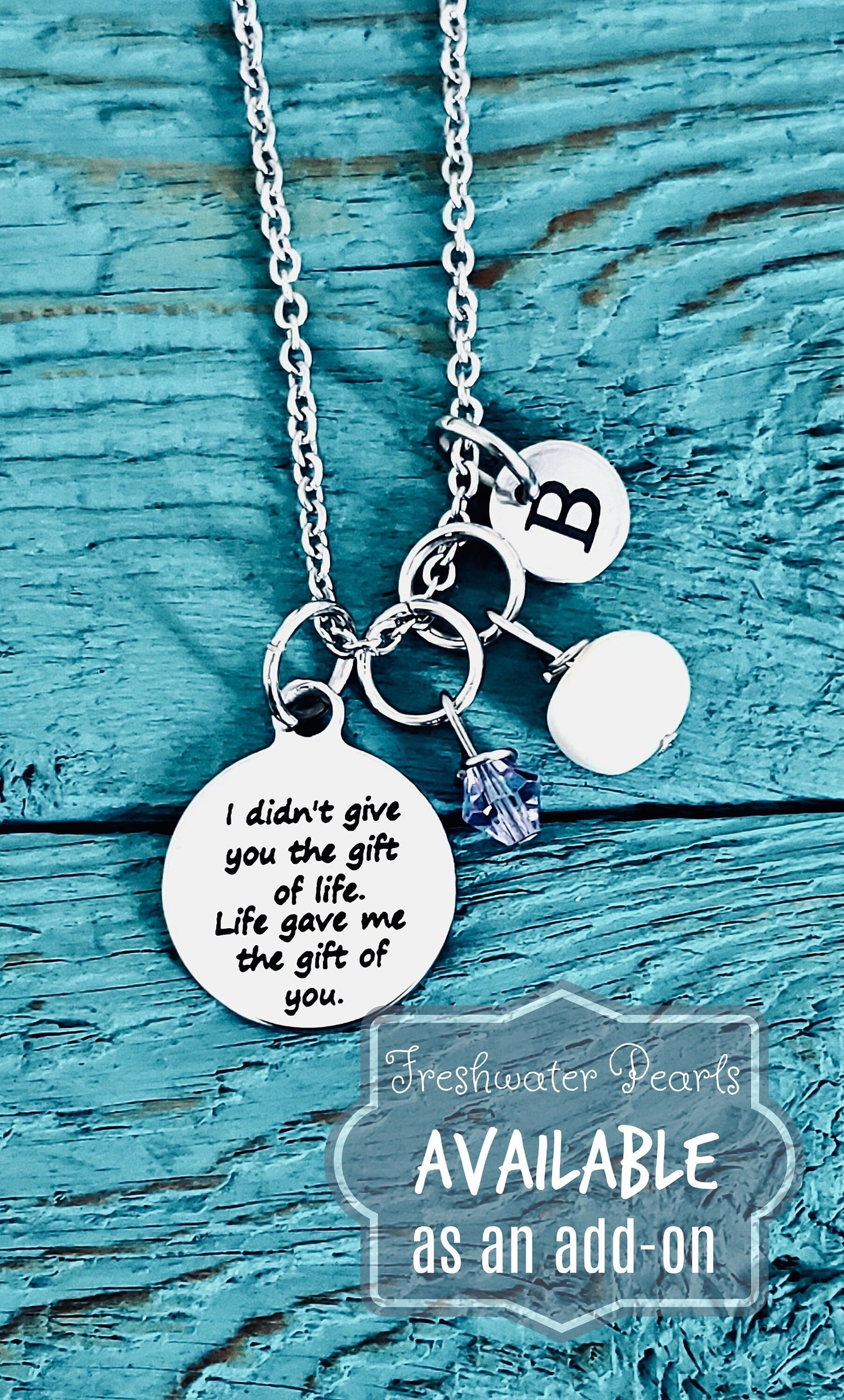 I Didn't Give You, The Gift Of Life, Life Gave Me, The Gift Of You, Baby Adoption, stepdaughter, Silver Necklace, Charm Necklace, Gifts for