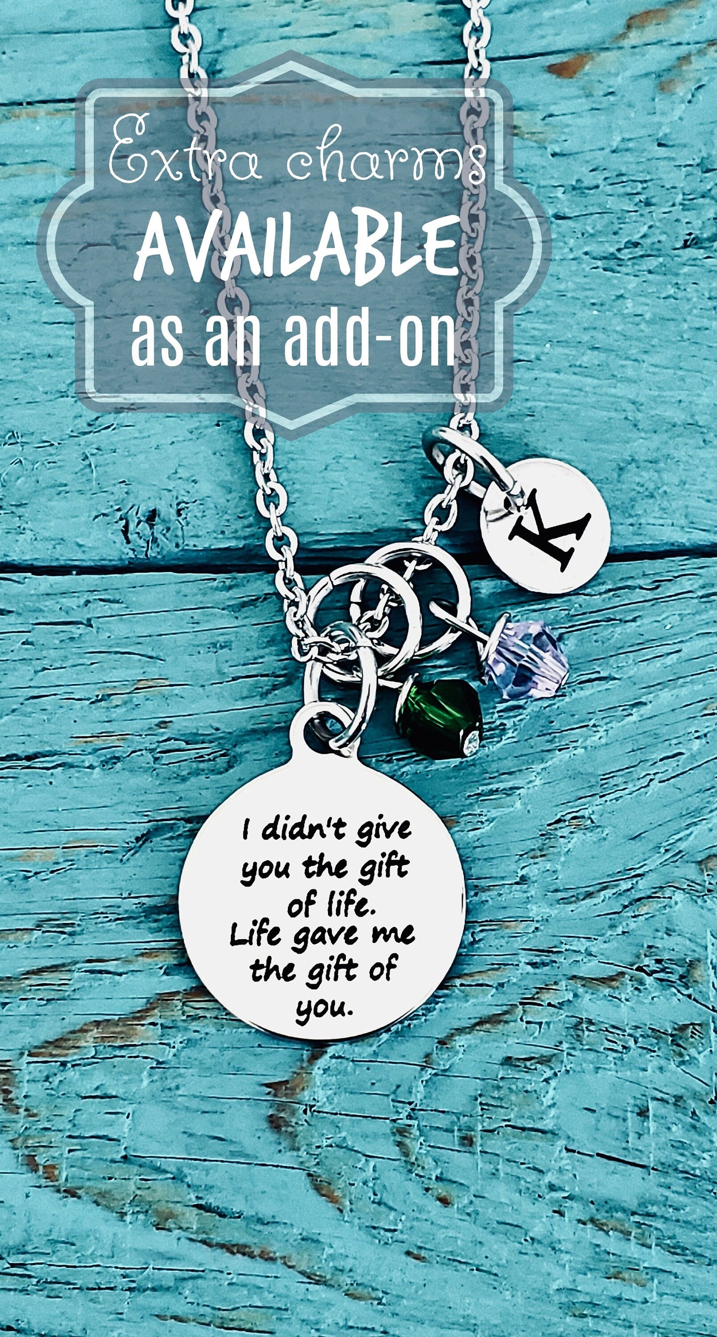 I Didn't Give You, The Gift Of Life, Life Gave Me, The Gift Of You, Baby Adoption, stepdaughter, Silver Necklace, Charm Necklace, Gifts for