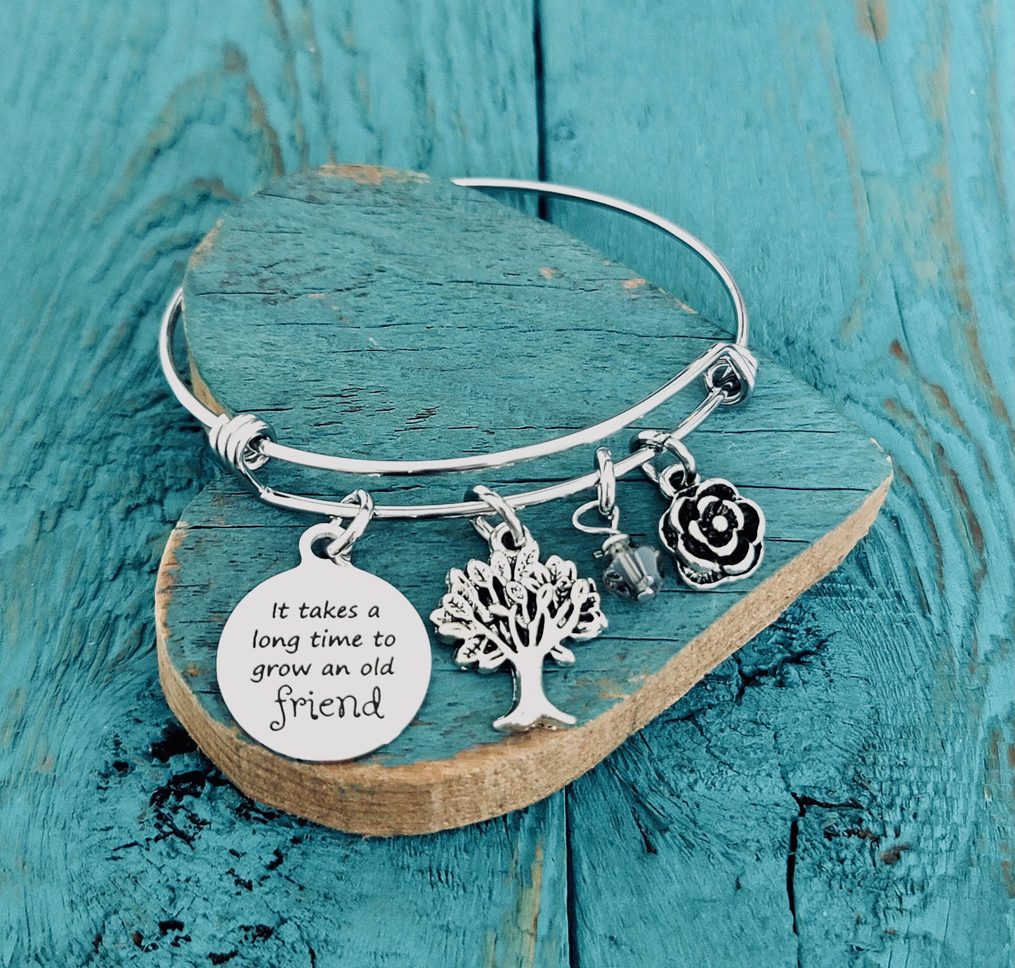 It takes a long, time to grow, an old friend, Friendship, Friend, Best Friend, Friendship Gift, Old Friend, Silver Bracelet, Charm Bracelet